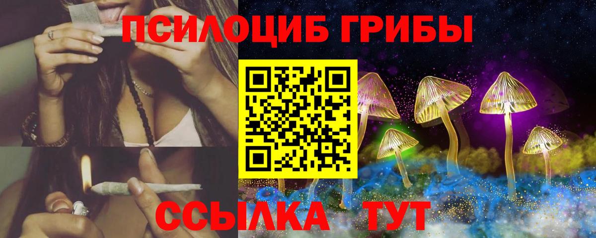Галлюциногенные грибы Cubensis Гуково