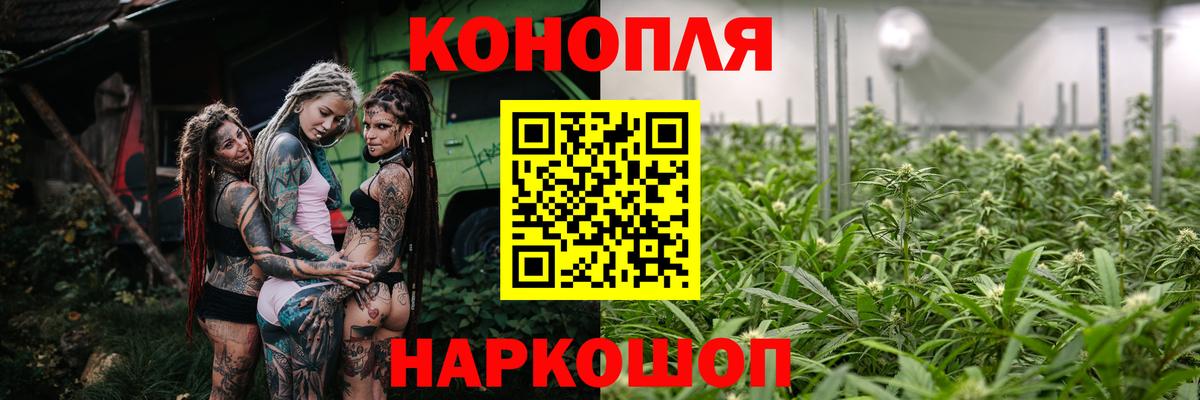 Конопля MAZAR Гуково